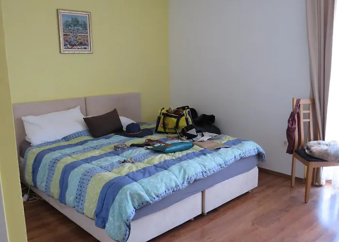 Apartament Bear