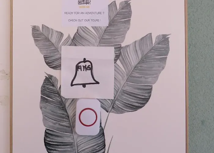 Bear Apartament Split