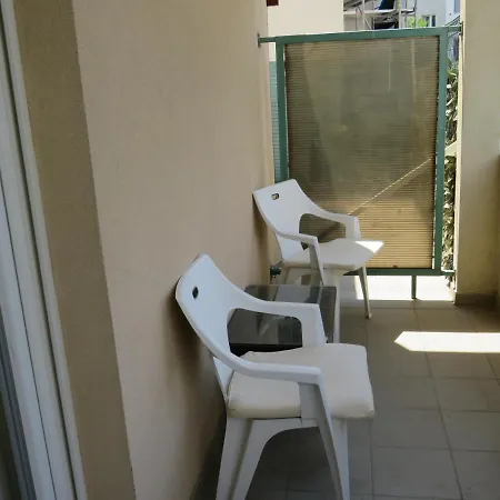 Apartment Bear Split