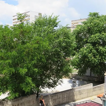 Bear Διαμέρισμα