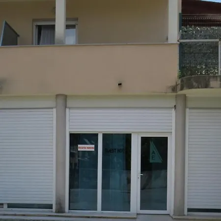 Bear Apartment Split