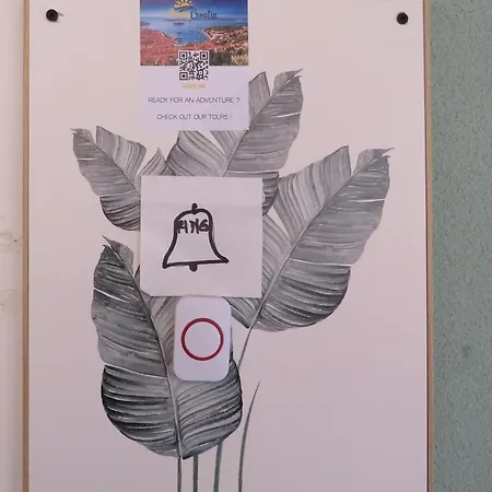 Bear 아파트 스플리트