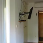 Bear * سبليت