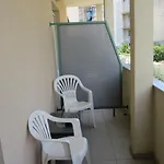 Bear * سبليت