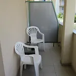 Bear * سبليت
