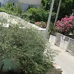 Bear شقة سبليت