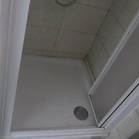 Bear Apartament